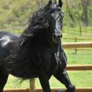 ヒメ日記 2026/03/09 03:42 投稿 なつこ 熟女家 京橋店