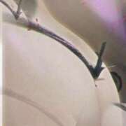 ヒメ日記 2026/03/10 01:56 投稿 なつこ 熟女家 京橋店