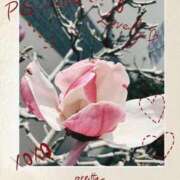 ヒメ日記 2026/03/29 16:59 投稿 なつこ 熟女家 京橋店