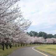 ヒメ日記 2026/03/30 20:51 投稿 なつこ 熟女家 京橋店