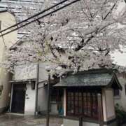 ヒメ日記 2026/04/04 17:36 投稿 なつこ 熟女家 京橋店