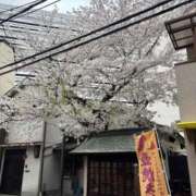 ヒメ日記 2026/04/05 18:36 投稿 なつこ 熟女家 京橋店