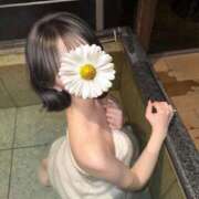 ヒメ日記 2025/12/06 15:41 投稿 えれん☆元美女CAとの◯◯◯♡ じゃむじゃむ