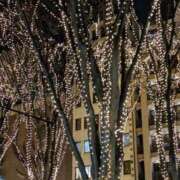 ヒメ日記 2025/12/08 15:39 投稿 ヤフーレ 鶯谷デッドボール