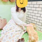 るみ [お題]from:パインさん 新宿・本格コスプレ素人アイドル学園イメクラ「新入生」
