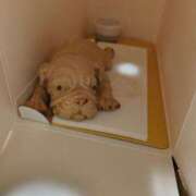 ヒメ日記 2026/02/04 21:40 投稿 こころ 奥様の実話 梅田店