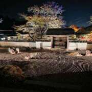 ヒメ日記 2026/01/04 19:15 投稿 そら オフィスアロマ