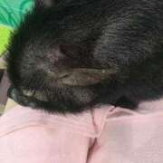 ヒメ日記 2026/05/26 15:45 投稿 そら オフィスアロマ