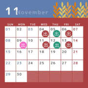 ヒメ日記 2026/10/17 20:09 投稿 雪乃 夕月