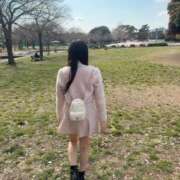 ヒメ日記 2026/04/06 16:30 投稿 じゅん ごほうびSPA五反田店