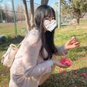 ヒメ日記 2026/09/11 19:40 投稿 じゅん ごほうびSPA五反田店