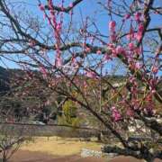 ヒメ日記 2026/03/07 18:12 投稿 そよ 多恋人倶楽部　宇部店