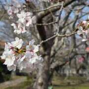 ヒメ日記 2026/04/07 18:45 投稿 そよ 多恋人倶楽部　宇部店