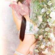 ヒメ日記 2026/01/16 13:19 投稿 かおり ぐっすり山田 五反田店