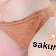 ヒメ日記 2025/12/11 17:19 投稿 さくら ぐっすり山田 五反田店