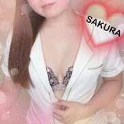 ヒメ日記 2025/12/14 17:19 投稿 さくら ぐっすり山田 五反田店