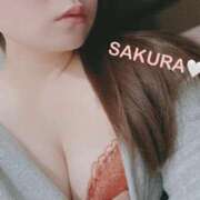 ヒメ日記 2025/12/20 18:59 投稿 さくら ぐっすり山田 五反田店