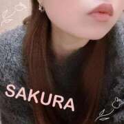 ヒメ日記 2026/01/20 16:19 投稿 さくら ぐっすり山田 五反田店