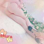 ヒメ日記 2026/02/23 13:09 投稿 さくら ぐっすり山田 五反田店