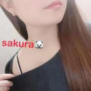 ヒメ日記 2026/03/04 19:19 投稿 さくら ぐっすり山田 五反田店