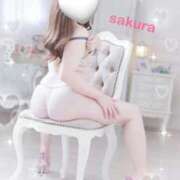 ヒメ日記 2026/04/02 18:49 投稿 さくら ぐっすり山田 五反田店