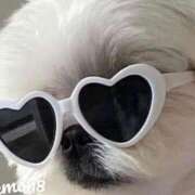 ヒメ日記 2025/12/02 20:48 投稿 ねいろ 金沢人妻城