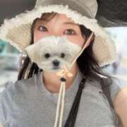 ヒメ日記 2025/12/20 12:01 投稿 北見ちひろ エルドール