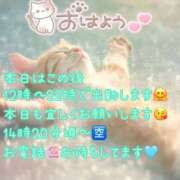 ヒメ日記 2025/12/07 08:55 投稿 ゆづか 栃木宇都宮ちゃんこ