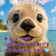 ヒメ日記 2025/12/16 10:15 投稿 ゆづか 栃木宇都宮ちゃんこ