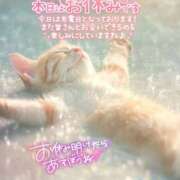 ヒメ日記 2025/12/18 11:35 投稿 ゆづか 栃木宇都宮ちゃんこ