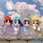 ヒメ日記 2025/12/31 10:15 投稿 ゆづか 栃木宇都宮ちゃんこ