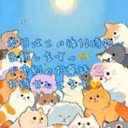 ヒメ日記 2026/01/27 10:45 投稿 ゆづか 栃木宇都宮ちゃんこ