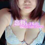 ゆづか 今頃君も何処かで舞い散る花びらを見て 栃木宇都宮ちゃんこ