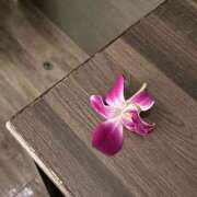 ヒメ日記 2025/12/03 12:09 投稿 えみり オナクラ大人女子