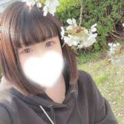 ヒメ日記 2026/04/11 15:02 投稿 ぷりん ピンキーエコ