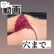 ヒメ日記 2025/12/20 16:32 投稿 はな Polaris（ポラリス）