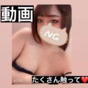 ヒメ日記 2025/12/20 17:32 投稿 はな Polaris（ポラリス）