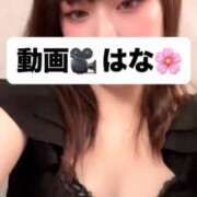 ヒメ日記 2025/12/28 10:02 投稿 はな Polaris（ポラリス）