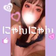 ヒメ日記 2026/01/05 09:22 投稿 はな Polaris（ポラリス）