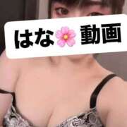 ヒメ日記 2026/02/08 13:42 投稿 はな Polaris（ポラリス）