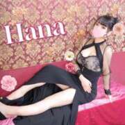 ヒメ日記 2026/02/11 18:45 投稿 はな Polaris（ポラリス）