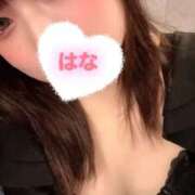 ヒメ日記 2026/02/14 19:02 投稿 はな Polaris（ポラリス）