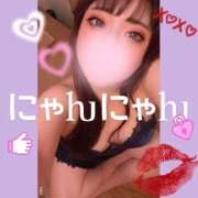 ヒメ日記 2026/02/17 20:32 投稿 はな Polaris（ポラリス）