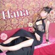 ヒメ日記 2026/02/18 09:30 投稿 はな Polaris（ポラリス）