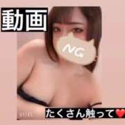 ヒメ日記 2026/04/16 15:42 投稿 はな Polaris（ポラリス）