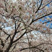 ヒメ日記 2026/04/06 21:22 投稿 五十嵐れい RISPA