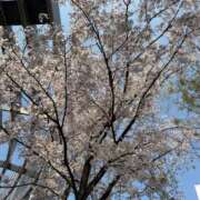 ヒメ日記 2026/03/29 18:32 投稿 しゅん 熟女の風俗最終章 池袋店