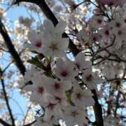 ヒメ日記 2026/04/07 17:12 投稿 しゅん 熟女の風俗最終章 池袋店