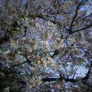 るか 今週も💕 ハピネス福岡