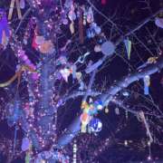 ヒメ日記 2026/02/15 10:21 投稿 まほ 東京人妻セレブリティ（ユメオト）